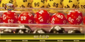 bao lô là gì