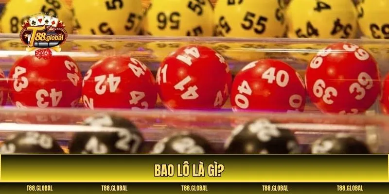 bao lô là gì
