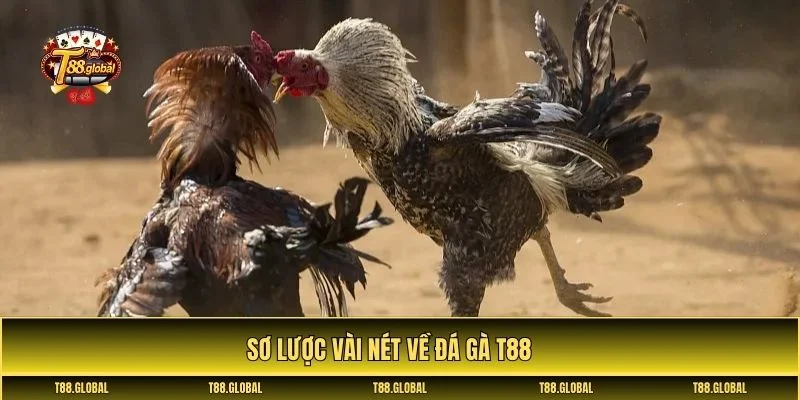 Đá gà T88